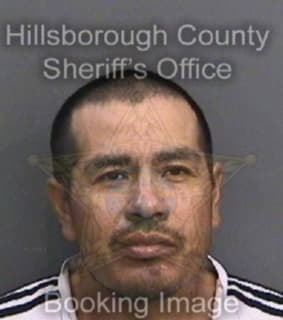 Alejo Paul - Hillsborough County, Florida 