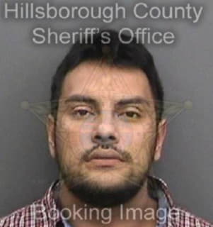 Diaz Ruben - Hillsborough County, Florida 