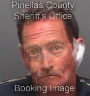 Baumann Christopher - Pinellas County, Florida 