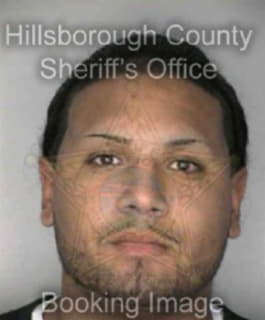 Oliveras Luis - Hillsborough County, Florida 