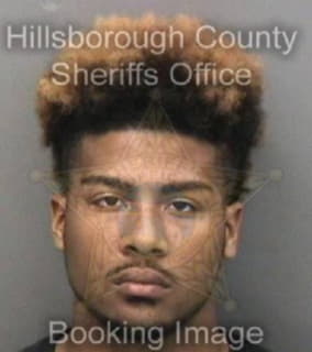 Johnson Elquintin - Hillsborough County, Florida 