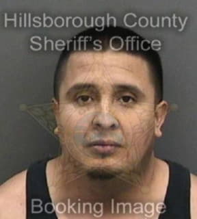 Rodriguezestrada Joe - Hillsborough County, Florida 