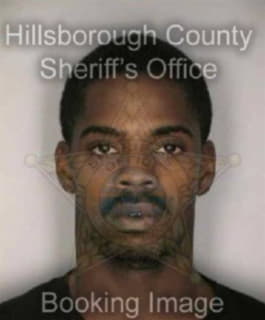 Pierre Terrance - Hillsborough County, Florida 