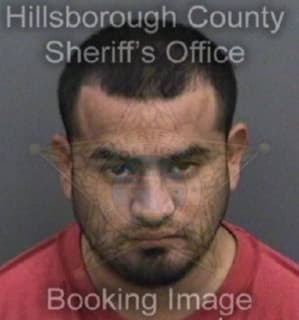 Pena Tirzo - Hillsborough County, Florida 