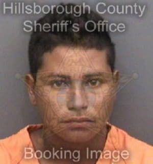 Rodriguez Jeffery - Hillsborough County, Florida 