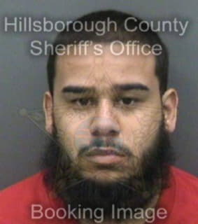 Vazquez Nelson - Hillsborough County, Florida 