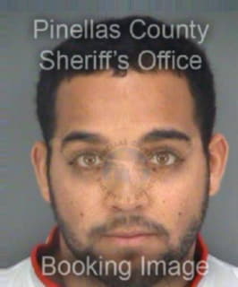 Henriquez Giovanni - Pinellas County, Florida 