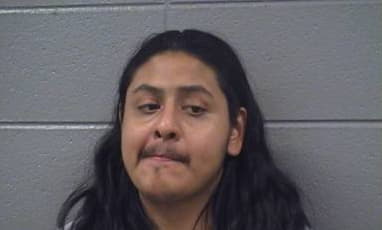 Flores Max - Cook County, Illinois 
