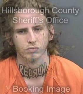 Alessandrini Michael - Hillsborough County, Florida 