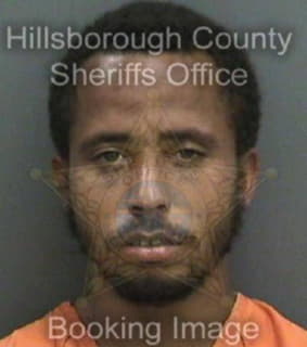 Miles Ronald - Hillsborough County, Florida 