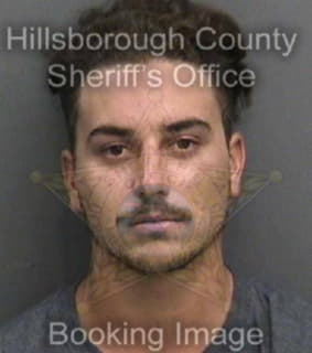 Mason Zane - Hillsborough County, Florida 