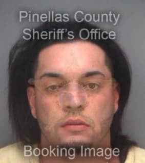 Morales Christopher - Pinellas County, Florida 