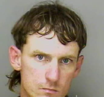 Thompson David - Polk County, Florida 