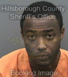 Davis Eric - Hillsborough County, Florida 