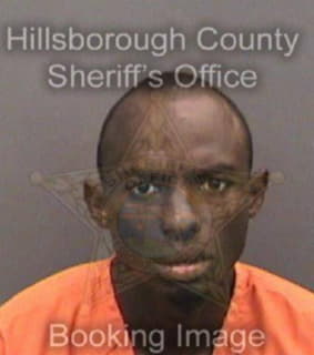 Little Marquise - Hillsborough County, Florida 