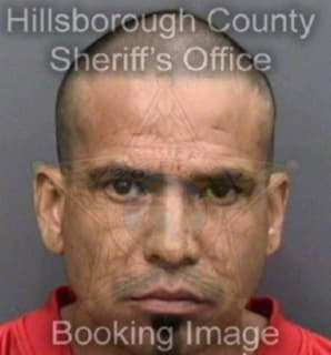 Rodriguez Ricardo - Hillsborough County, Florida 