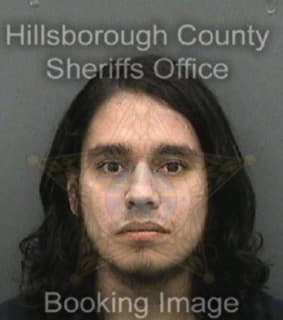 Rivas David - Hillsborough County, Florida 