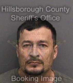 Reyesromero Edwin - Hillsborough County, Florida 