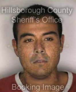 Martinez Juan - Hillsborough County, Florida 