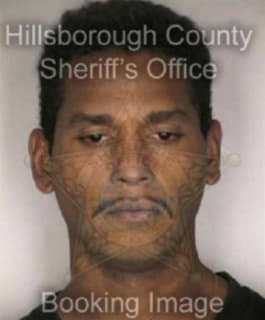 Castellano Robert - Hillsborough County, Florida 