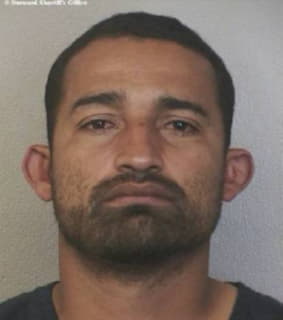 Gonzalez Carlos - Broward County, Florida 