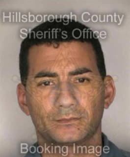 Pena Daniel - Hillsborough County, Florida 