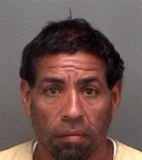 Rijos Daniel - Pinellas County, Florida 