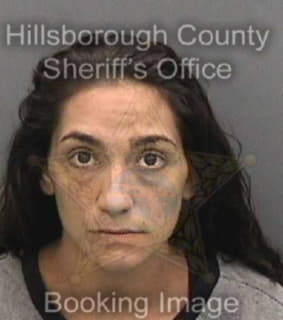 Nieves Melissa - Hillsborough County, Florida 