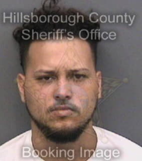 Rodriguez Derrik - Hillsborough County, Florida 