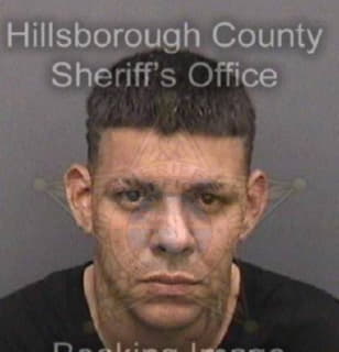 Vargas-Cancel Joshean - Hillsborough County, Florida 