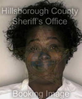 Perry Stephenie - Hillsborough County, Florida 