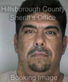 Perez Wilfredo - Hillsborough County, Florida 