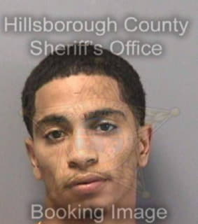 Mcgee Denzel - Hillsborough County, Florida 