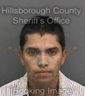 Ortiz Julio - Hillsborough County, Florida 