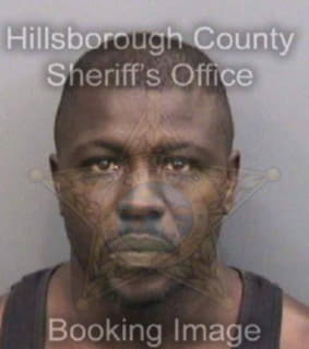 Leggett Michael - Hillsborough County, Florida 