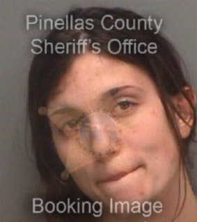 Johnson Ashley - Pinellas County, Florida 