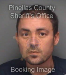 Roberts David - Pinellas County, Florida 