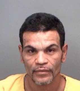 Aponte Pablo - Pinellas County, Florida 