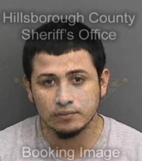 Castro Daniel - Hillsborough County, Florida 