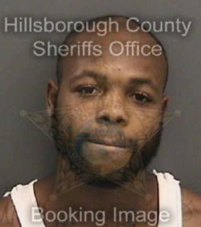 Davis Deandre - Hillsborough County, Florida 