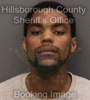 Davis Jermaine - Hillsborough County, Florida 