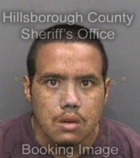 Perez Juan - Hillsborough County, Florida 
