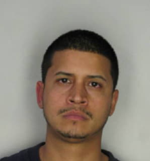 Perez Raymond - Hillsborough County, Florida 