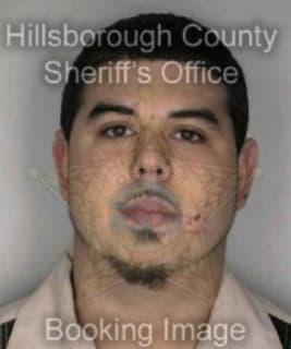 Diaz Alexy - Hillsborough County, Florida 