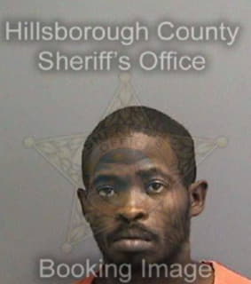 Robinson Leon - Hillsborough County, Florida 