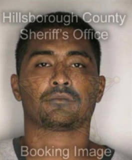 Cruz Leonel - Hillsborough County, Florida 