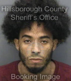 Martinezorza Ricardo - Hillsborough County, Florida 