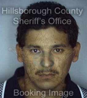 Martinez Rogelio - Hillsborough County, Florida 