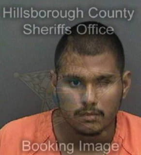 Aguirre-Mendoza Alvaro - Hillsborough County, Florida 