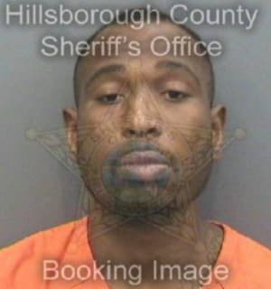 Roberson Dante - Hillsborough County, Florida 